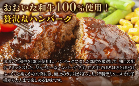 おおいた和牛100%　デミハンバーグ　約150g×30個　合計約4.5kg　|　津久見市