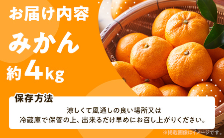 期間限定 みかん フルーツ 果物 くだもの 4kg 柑橘 甘い 濃厚 ジューシー 産地直送 デザート おやつ オレンジ 福岡県 福岡 九州 グルメ お取り寄せ 【12月上旬頃から順次発送】