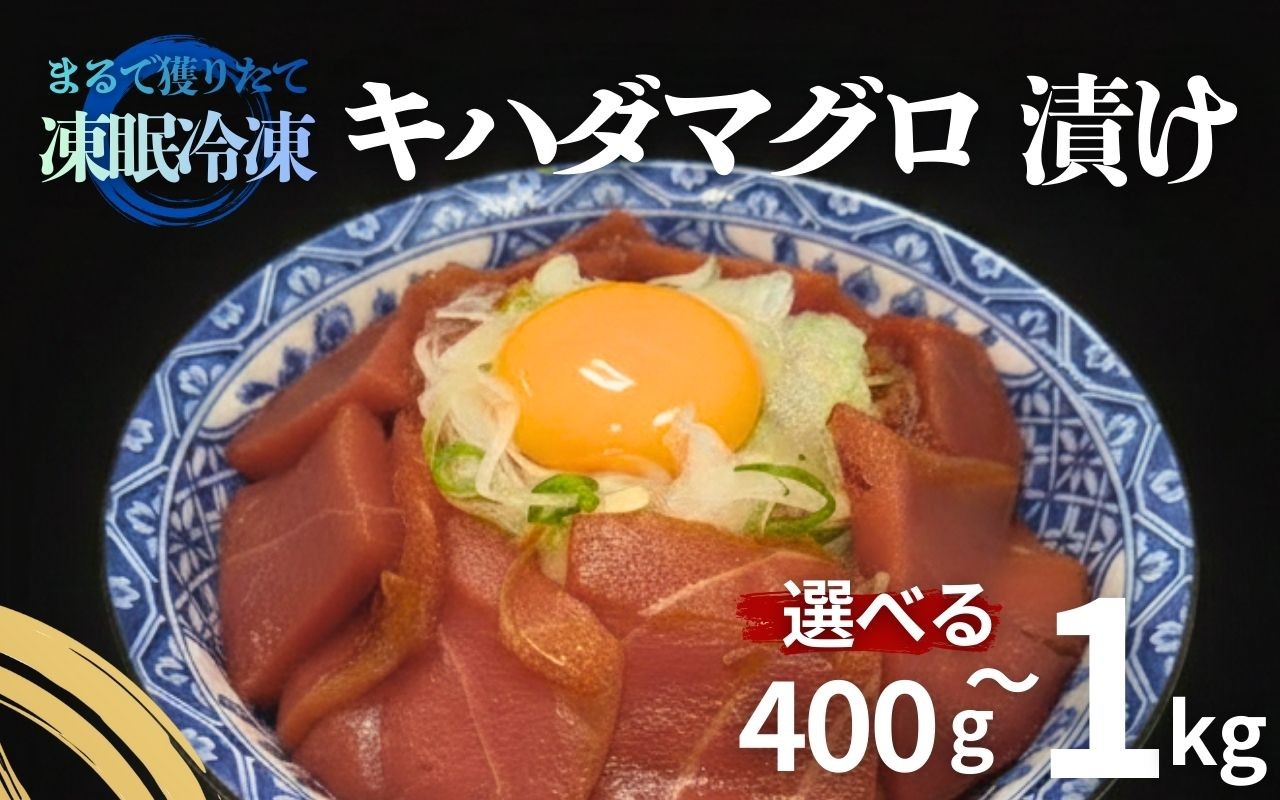 
                  【選べる容量】 天然 キハダマグロ 漬け 400g 600g 800g 1kg 赤身 マグロ まぐろ 鮪 刺身 さしみ 刺し身 柵 選べる えらべる 海鮮 魚介 魚貝 魚 海鮮丼 漬け丼 冷凍 小分け 手巻き寿司 寿司 数量限定 期間限定 訳あり 不揃い 高知県 室戸市
                