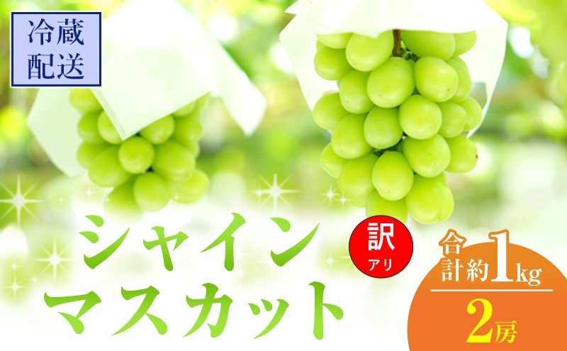 訳あり シャインマスカット 2房 合計 約1kg 岡山県 高梁市産 2026年 先行予約 クール便 冷蔵 ぶどう フルーツ 葡萄 ブドウ 皮ごと 産地直送 大粒 爽やか 食べやすい