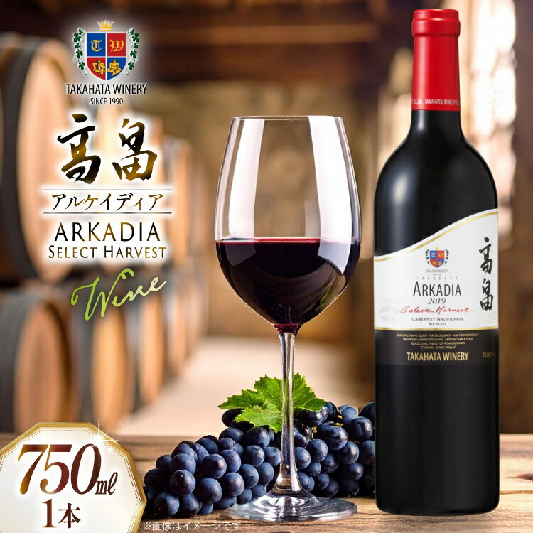【ふるさと納税】2019 高畠 アルケイディア セレクトハーベスト 750ml×1本 [高畠ワイナリー 山形県 高畠町 tk06ays730039] ワイン Wine 赤 酒 高畠ワイン 高畠ワイナリー 赤ワイン