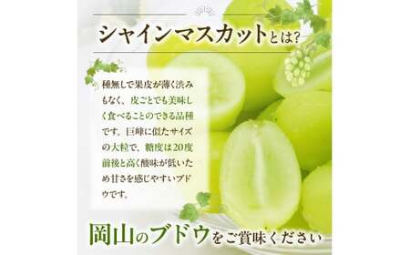 【2025年発送】びぜん葡萄「シャインマスカット」（ハウス栽培）1房入×6箱セット【 岡山県備前市産 シャインマスカット ハウス栽培 1房入×6箱セット 】