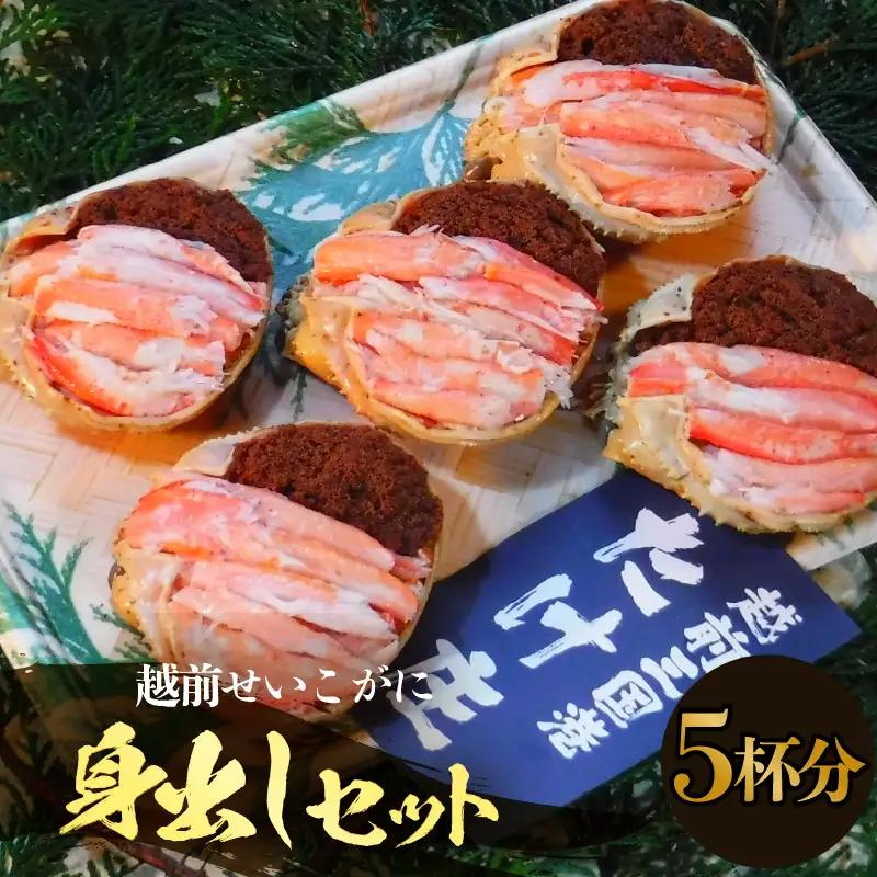 【先行予約】越前セイコ蟹『身出し』セット 5杯分【2026年11月～2027年1月発送予定】 [G-1604]