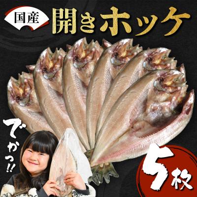 ふるさと納税 山田町 【無添加】国産 真ホッケ 大サイズ×5枚 肉厚 冷凍 ほっけ 干物 北海道産 一夜干し 魚 魚介