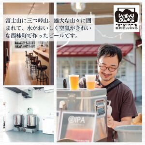 クラフトビール MAKOMO IPA 3本 セット / 瓶ビール ビール 地ビール エール 詰め合わせ 飲み比べ 家飲み おすすめ 人気 天然水 ギフト 贈り物 父の日 お歳暮 送料無料【n0660-