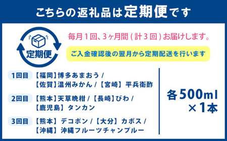【3ヶ月定期便】 九州を飲む！毎月届く 九州果実シロップ 飲み比べセット 500ml×3本×3回 果物 フルーツ ジュース