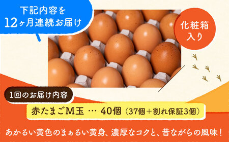 【全12回定期便】 【化粧箱入り】赤たまご M玉 40個 (37個＋割れ保証3個)【株式会社 かもと養鶏】タマゴ 玉子 熊本県 卵 国産 新鮮 濃厚 化粧箱    [ZCA005]