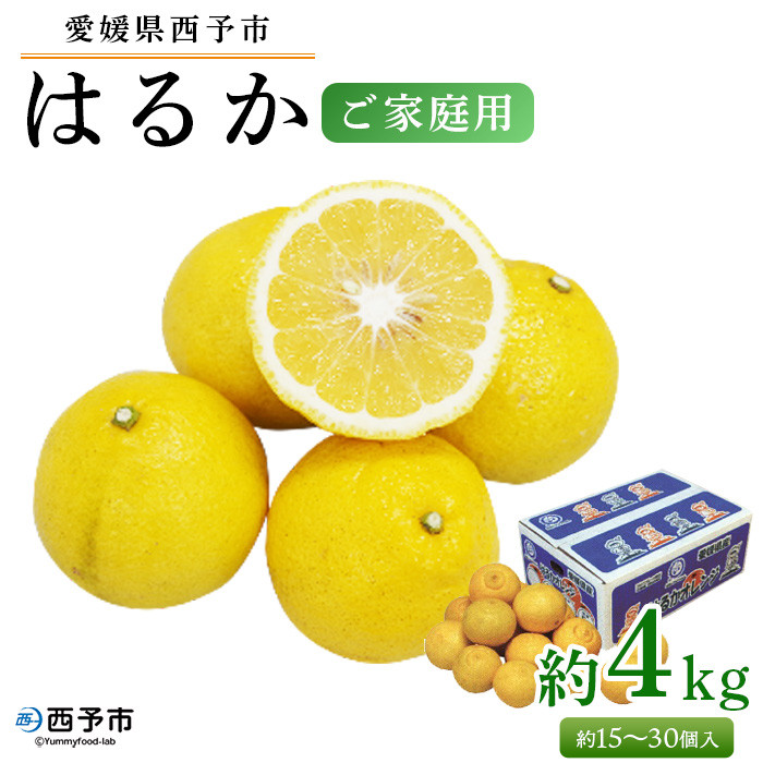 
            ＜愛媛県西予市産 はるか ご家庭用 約4kg＞約15～30個入 訳あり ご自宅用 果物 フルーツ ハルカ みかん ミカン オレンジ 柑橘類 旬 期間限定 食べて応援 特産品 愛媛県 西予市【常温】『2026年2月中旬～4月下旬迄に順次出荷予定』
          