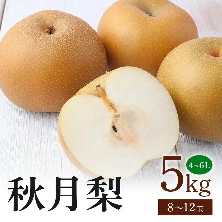 秋月梨 箱込約 5kg（JA新ひたち野）梨 約 8玉 ～12玉 (B01-002)