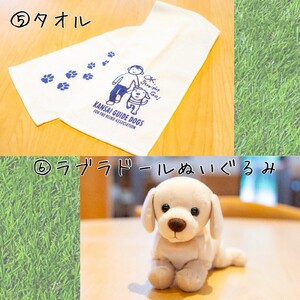 盲導犬 訓練 支援寄附 記念品［陶器のクイール（子犬）※欠品時は代替品の盲導犬のぬいぐるみ・タオル・エコバッグ など盲導犬協会オリジナルグッズ］「行きたい場所に安心していける社会に…」補助犬 (50,