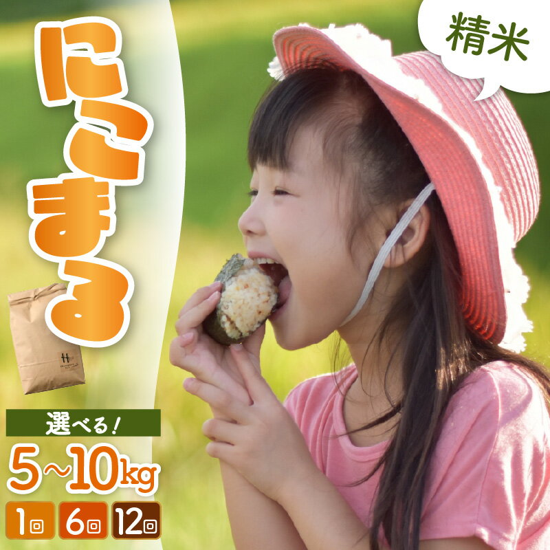 【ふるさと納税】【令和7年産 新米】にこまる 精米 【選べる容量：5kg / 10kg（5kg×2袋）】【選べる回数：1回 / 6回 / 12回 】 ＜食味値85点以上！低農薬栽培＞／ 5キロ 10キロ 高品質 鮮度抜群 福井県 あわら産 白米 お米 米