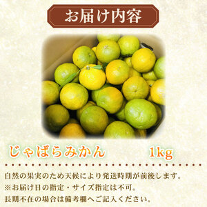 【期間限定発送】みかん じゃばら 1kg みかん 牧之原市