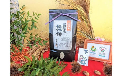 
◆実生庵の近江米【琵琶の龍神】精米2kg×1袋 滋賀県高島市産 生産者直売100%
