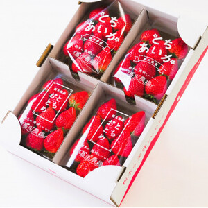 新鮮! 『とちおとめ』・『とちあいか』 (260g×4パック)　食べ比べセット【配送不可地域：離島・沖縄県】【1366985】
