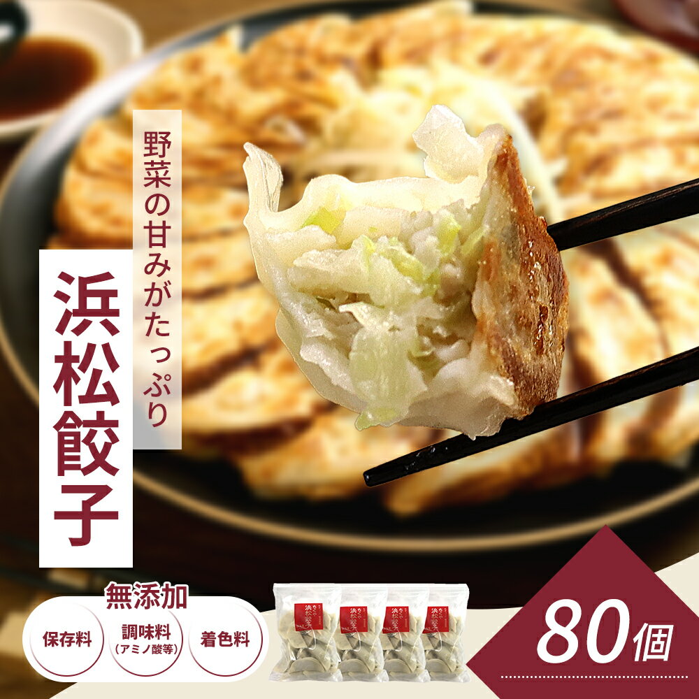 知久屋 浜松餃子たっぷりセット 100個 無添加ぎょうざ
