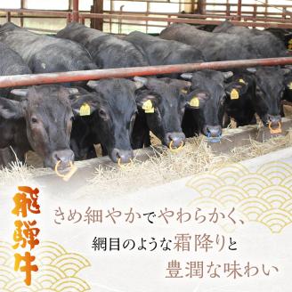 岐阜県海津市産 飛騨牛　すき焼き用　切り落し　500g