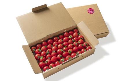 【先行予約】山口さんちの中玉トマト　約2kg　宮崎県西都市産＜1-280＞＊