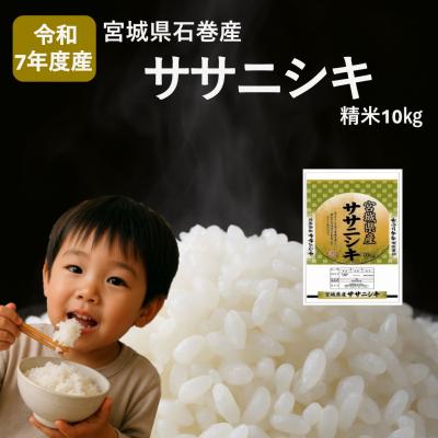 ふるさと納税 石巻市 令和7年度産 ササニシキ精米10kg お米 米 ごはん ご飯 飯 一等精米 単一銘柄米 主食