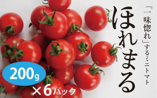 R6年産　ミニトマト　ほれまる　200g×6ケ　ヤナセ農園/009-27166-a01A