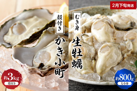 【2025年2月下旬発送】丸十水産 生牡蠣 特選むき身 800g 殻付き かき小町 約3kg (15～21個) セット 生食可能 生食用 冷蔵便 国産 生牡蠣 音戸産 特選 牡蠣 カキ むき身 旨味 濃厚 新鮮 美味しい 秋 旬 広島県 呉市生食可能 生食用 冷蔵便 国産 生牡蠣 音戸産 特選 牡蠣 カキ むき身 旨味 濃厚 新鮮 美味しい 秋 旬 広島県 呉市