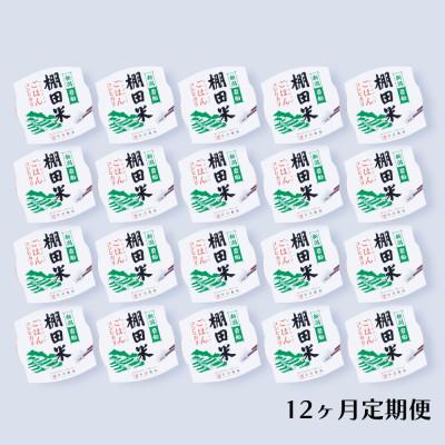 ふるさと納税 村上市 【毎月定期便】新潟県村上市岩船産 棚田米コシヒカリのパックごはん 20個 [140]全12回