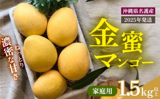 【2025年 先行予約 数量限定】金蜜マンゴー 家庭用 1.5kg以上 家庭用 先行予約 沖縄 甘味 糖度 濃厚 おいしい お土産 まんごー きんみつ ギフト プレゼント 果実 くだもの 果物 ふるさと納税 送料無料 トロピカル 名護市 フルーツ