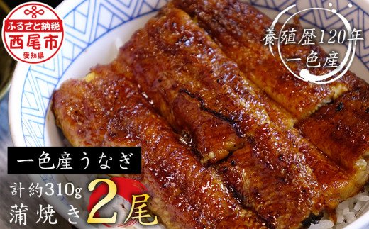 【土用の丑の日までにお届け】一色産うなぎ　炭焼き蒲焼2尾　職人手焼き 鰻 ウナギ うなぎ 蒲焼 国産 うなぎ蒲焼 タレ付き たれ 国産うなぎ 蒲焼き うな丼 丑の日 土用の丑の日・I034-18