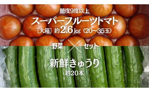 
                  《 2027年 収穫分 》 スーパーフルーツトマト 大箱 約3kg （大玉20〜35玉）＆ 新鮮 きゅうり 約20本 セット 糖度9度以上 先行予約 フルーツトマト ブランドトマト 野菜 ギフト 贈答 [BC062sa]
                