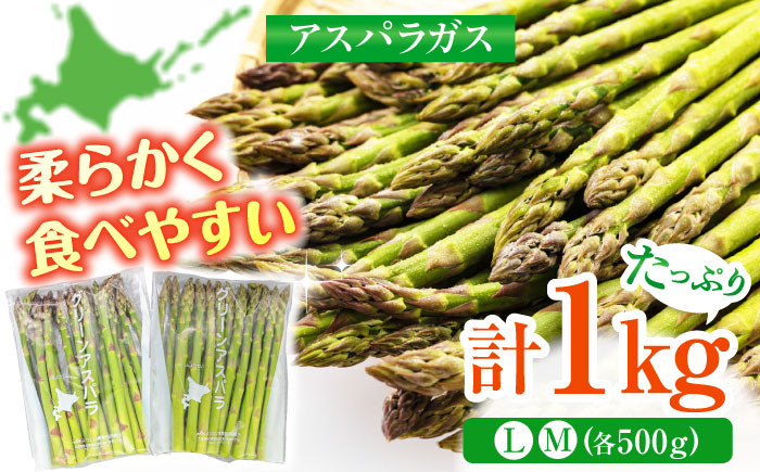 
            【2025年6月以降順次発送】 グリーンアスパラガス 1kg　（Ｌ・Ｍサイズ各500g）《喜茂別町》【Aコープようてい】 アスパラ 野菜 セット 詰め合わせ 北海道 春野菜 季節の野菜 先行予約 [AJAK002] 11000 11000円
          