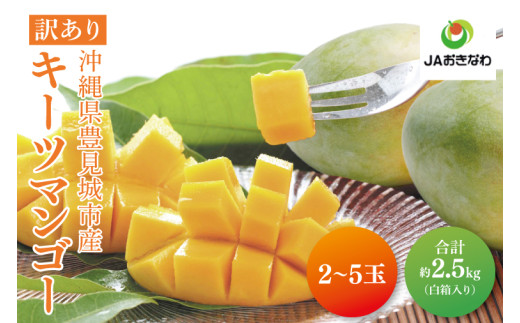 【2025年8月より順次発送】【先行予約】★訳あり★キーツマンゴー 2～5玉(約2.5kg)(白箱)ご家庭用｜沖縄県 豊見城市 訳あり わけあり 訳アリ キーツマンゴー マンゴー キーツ フルーツ 果物 くだもの おきなわマンゴー 家庭用 先行予約(AE017)