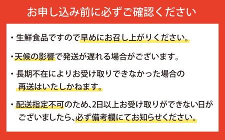 【ニセコ町産】旬の野菜詰合せ　2024年発送【先行予約】