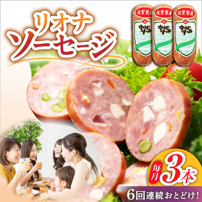 【ふるさと納税】【6回定期便】リオナソーセージ 200g×3本 /宮地ハム[UBM031] ソーセージ 豚肉 豚 お肉 肉 定期便