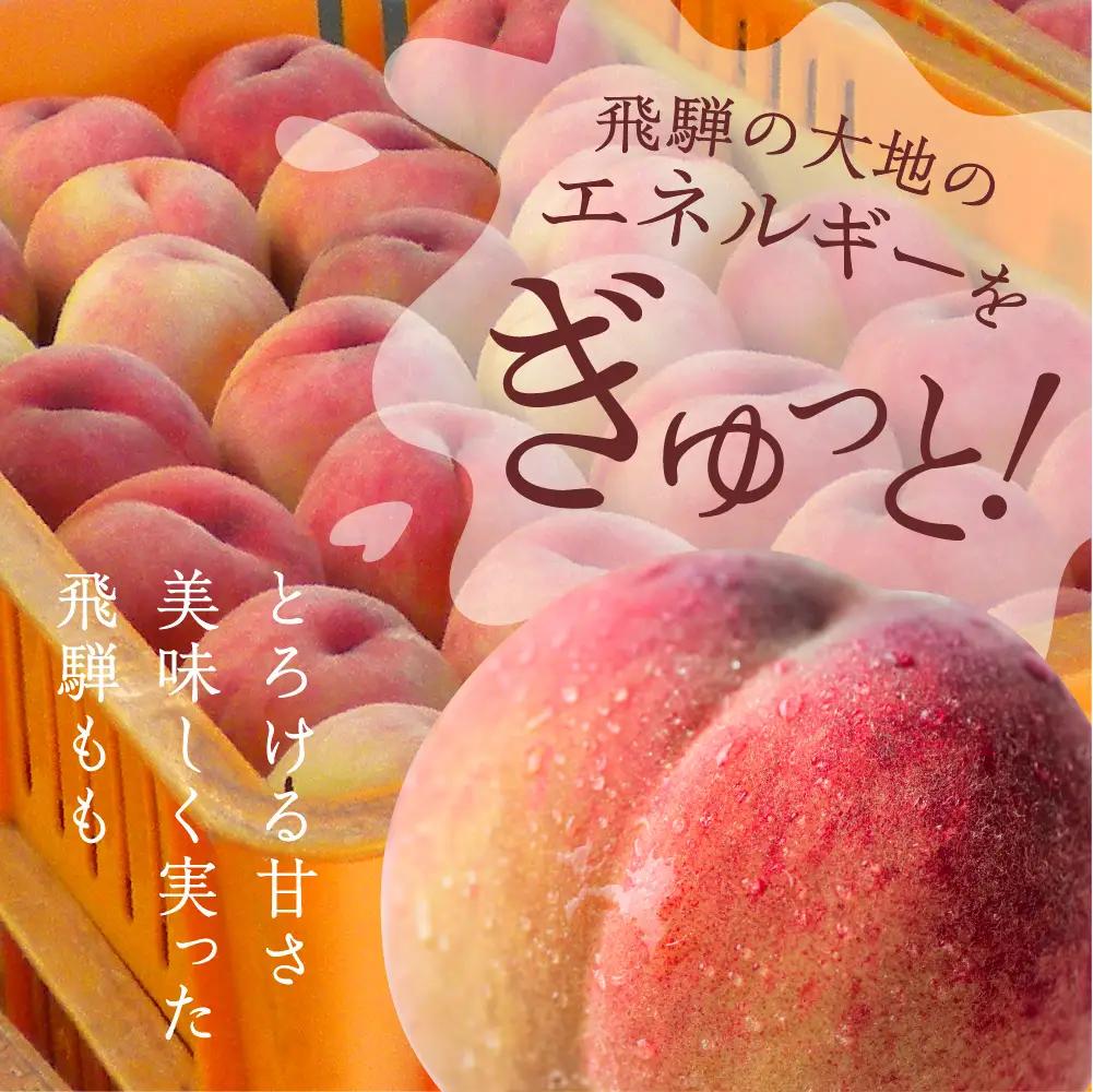 朝採れ 飛騨の桃 10玉(3kg) / 桃 もも モモ
