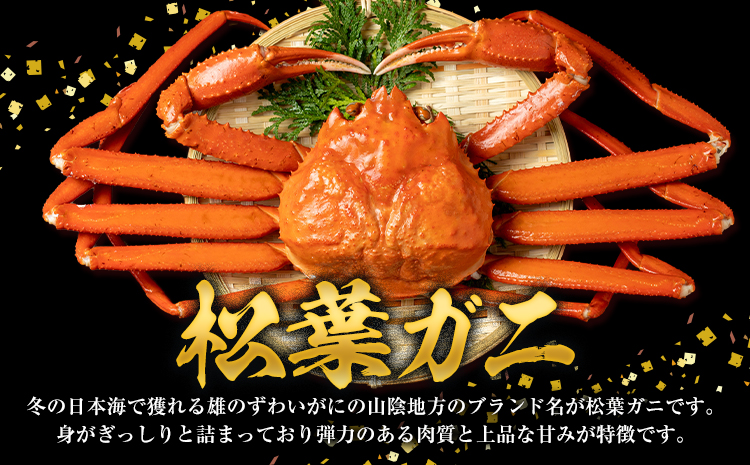 かに 訳あり 松葉ガニ 1.5kg ボイル済み 冷蔵 《2024年11月上旬-2025年4月中旬頃出荷》お魚センターみくりや 鳥取県 八頭町 蟹 かに カニ 鍋 松葉ガニ ボイル 送料無料 訳あり 訳