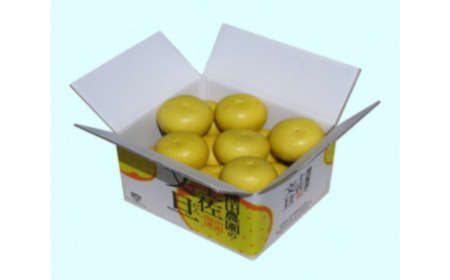 【訳あり】【先行予約】高知県産 土佐文旦 訳あり 約5kg 8?10玉入〈2027年2月?発送〉高知県 土佐市【株式会社種田農園】[BQBW004]