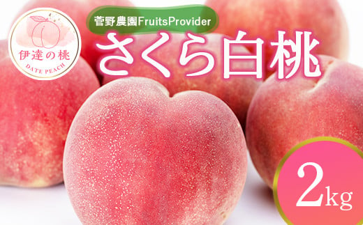 
            福島県産 さくら白桃 2kg 2025年9月上旬～2025年9月中旬発送 2025年出荷分 先行予約 予約 大玉 固め 白桃 伊達の桃 桃 もも モモ 果物 くだもの フルーツ 国産 食品 F20C-639
          