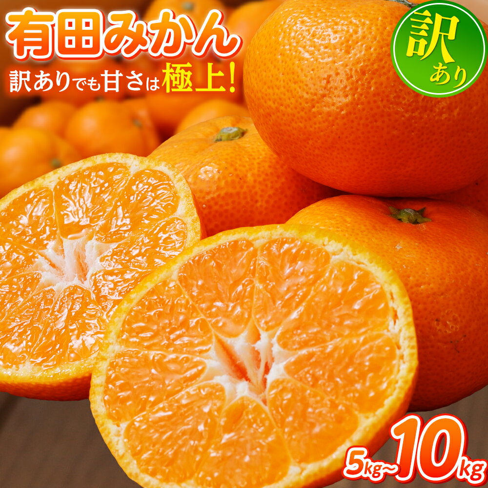 【ふるさと納税】 有田 みかん 訳あり 光センサー 選別 / 温州みかん 有田みかん 甘い 家庭用 和歌山 柑橘 5kg 7.5kg 10kg 8000円 ※11月中旬より順次発送予定 ※北海道・沖縄・離島への配送不可 //best