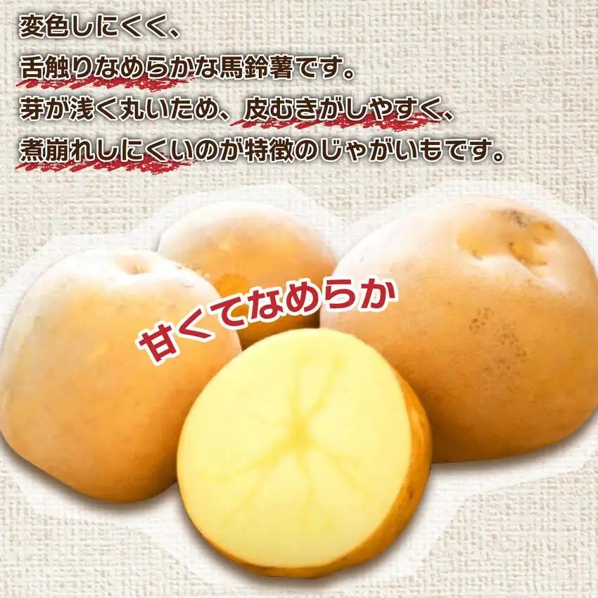 ＜先行予約＞北海道産 じゃがいも(とうや) 約5kg【55250843】