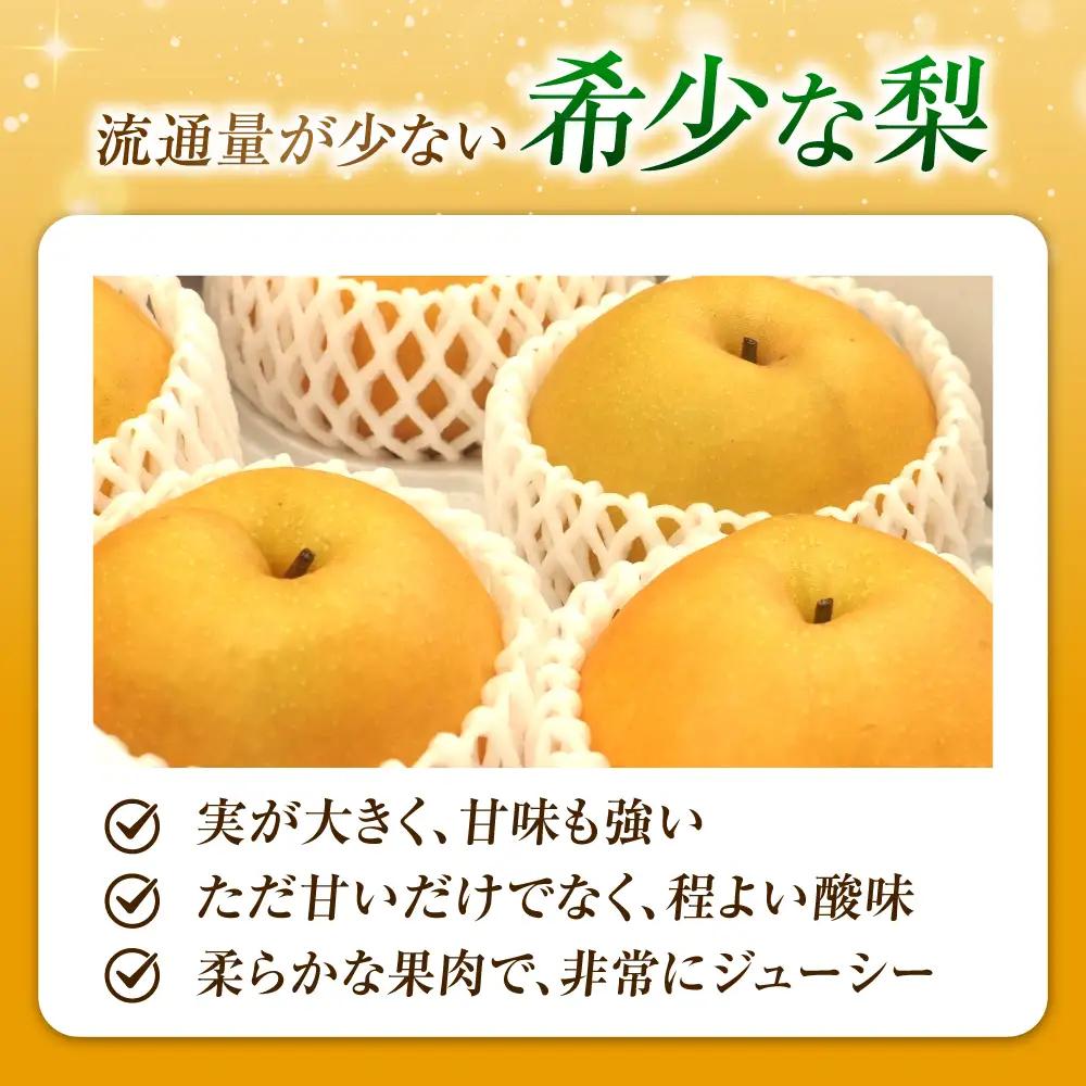 【先行予約】豊華梨 6-9玉 BKAD025 梨