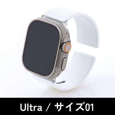 ふるさと納税 鯖江市 エアバングル/スーパーホワイト Ultra サイズ 01