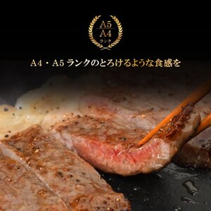 （K8-006）【やまなか家】いわて牛サーロインステーキ 400ｇ / 和牛 牛肉 ステーキ 肉