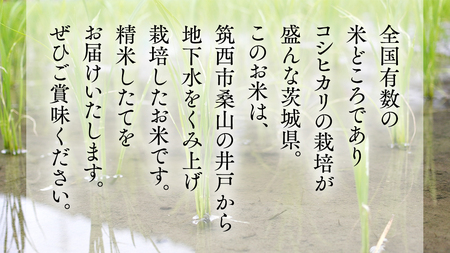 地下水100％で作る美味しい 「 コシヒカリ 」 10kg 米 お米 白米 コメ こしひかり 茨城県 精米 新生活 応援 [DU003ci]