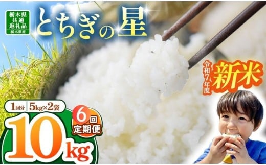 【栃木県共通返礼品】【令和7年度新米】栃木県産とちぎの星 60kg |定期便 選べる ふるさと 納税 とちぎの星 お米 精米 白米 玄米 大粒 共通返礼品 送料無料 那珂川町 栃木県