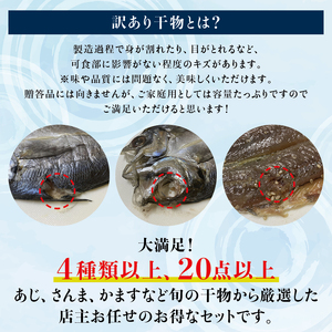 【訳あり干物セット】たっぷり20点以上！おざきのひもの「おまかせスペシャルセット」【冷蔵】 \  干物 ひもの 干物セット 訳あり干物 海鮮 魚【ozk103】