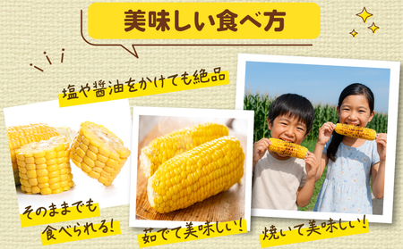 とうもろこし おおもの 5kg 【先行予約】 トウモロコシ
