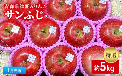 
                  【1月発送】【里いちみfarm】青森県津軽のりんご　特選「サンふじ」約5kg
                