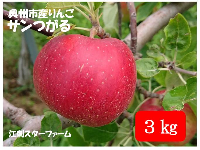 【スターファーム】 こだわり栽培の サンつがる 厳選品 3kg 岩手県奥州市産りんご 産地直送 離島配送不可 [AY005]