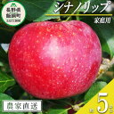 【ふるさと納税】 りんご シナノリップ 家庭用 5kg ヤマウラ農園 沖縄県への配送不可 令和7年度収穫分 長野県 飯綱町 〔 信州 果物 フルーツ リンゴ 林檎 長野 17000円 予約 農家直送 〕発送時期：2025年8月中旬〜2025年8月下旬 {**}