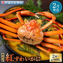 【ふるさと納税】≪浜茹で≫越前産 紅ずわいがに 約900g × 2杯 食べ方しおり付【紅ズワイガニ カニ かに 蟹 姿 ボイル 冷蔵 福井県】【2月発送分】希望日指定不可 [e14-x001_02]