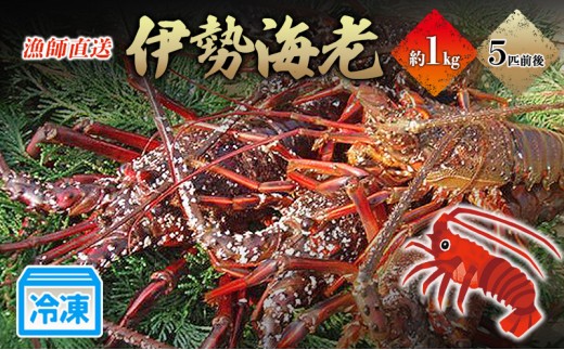 
            冷凍伊勢海老1kg 伊勢エビ 冷凍 漁師直送 [№5227-0145]
          
